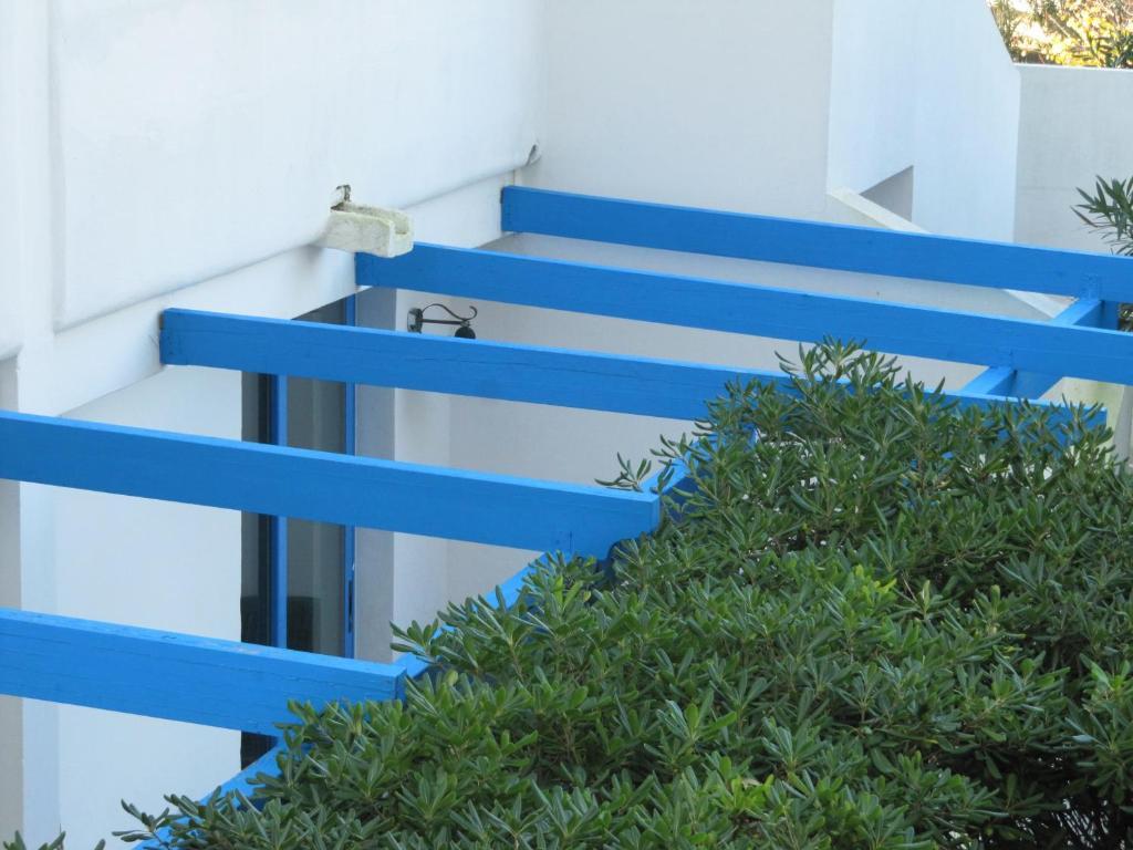 Villa Flora Studios & Apartments Conca Specchiulla Exterior photo